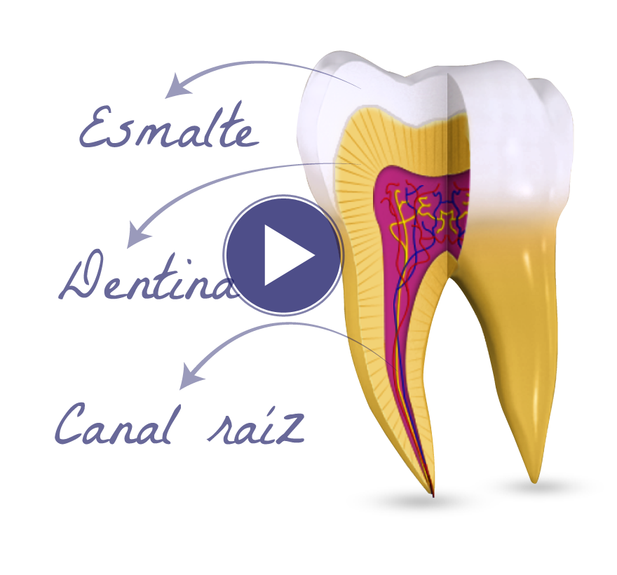 Videos educativos en espa?ol para pacientes dentales